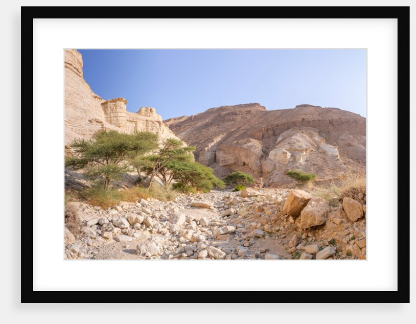 Negev Desert, Israel by Assaf Frank